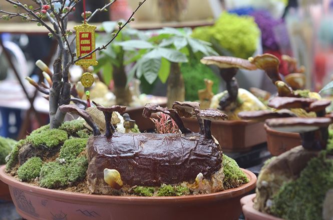 Gần 5 triệu đồng 1 chậu nấm linh chi bonsai chơi Tết ở Thủ đô